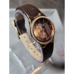 Skagen Denmark 630SRLD1 Ladies' Irridescent Purple Watch. New Battery